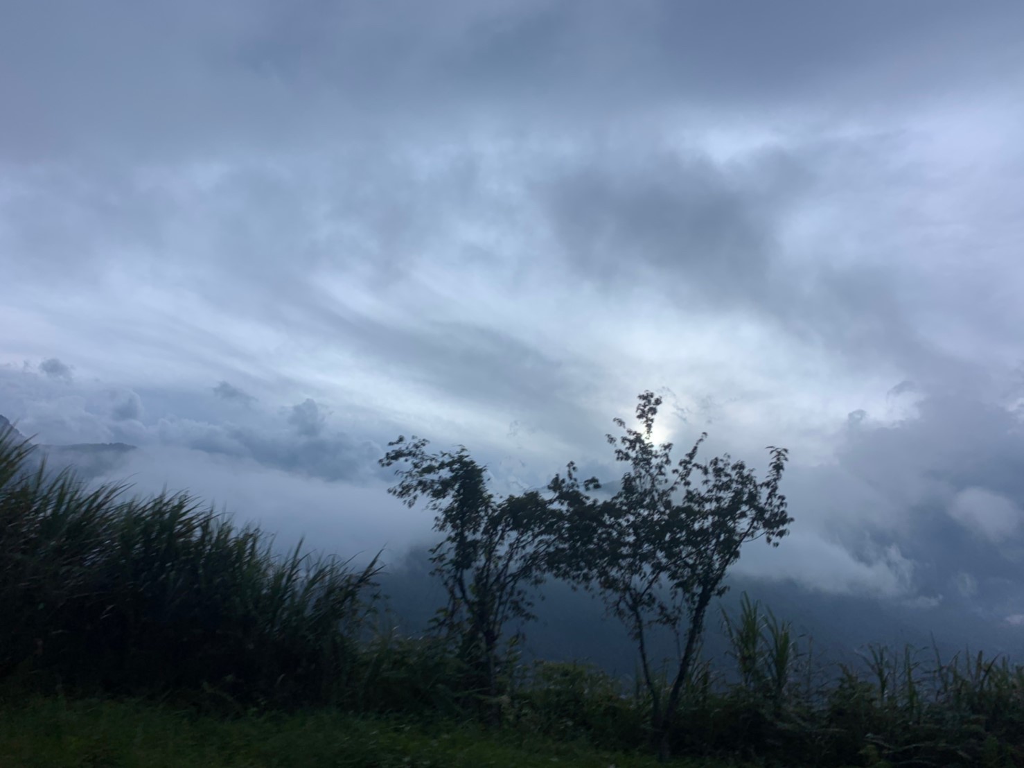 2019060708風景隨意拍_190611_0001