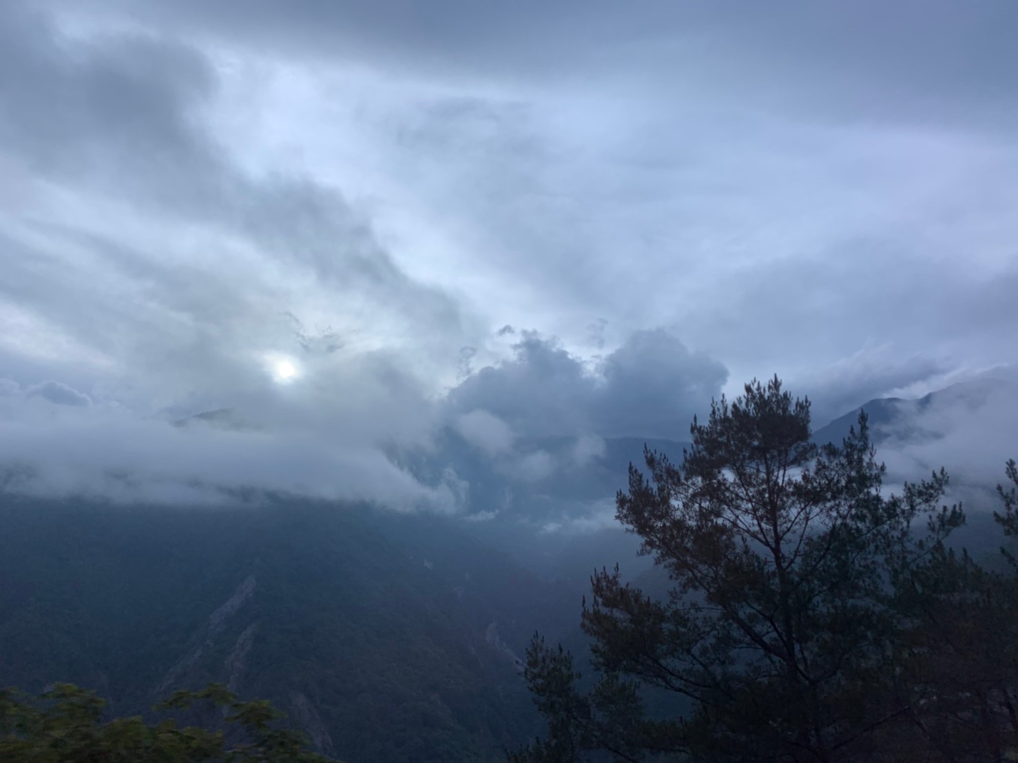 2019060708風景隨意拍_190611_0007