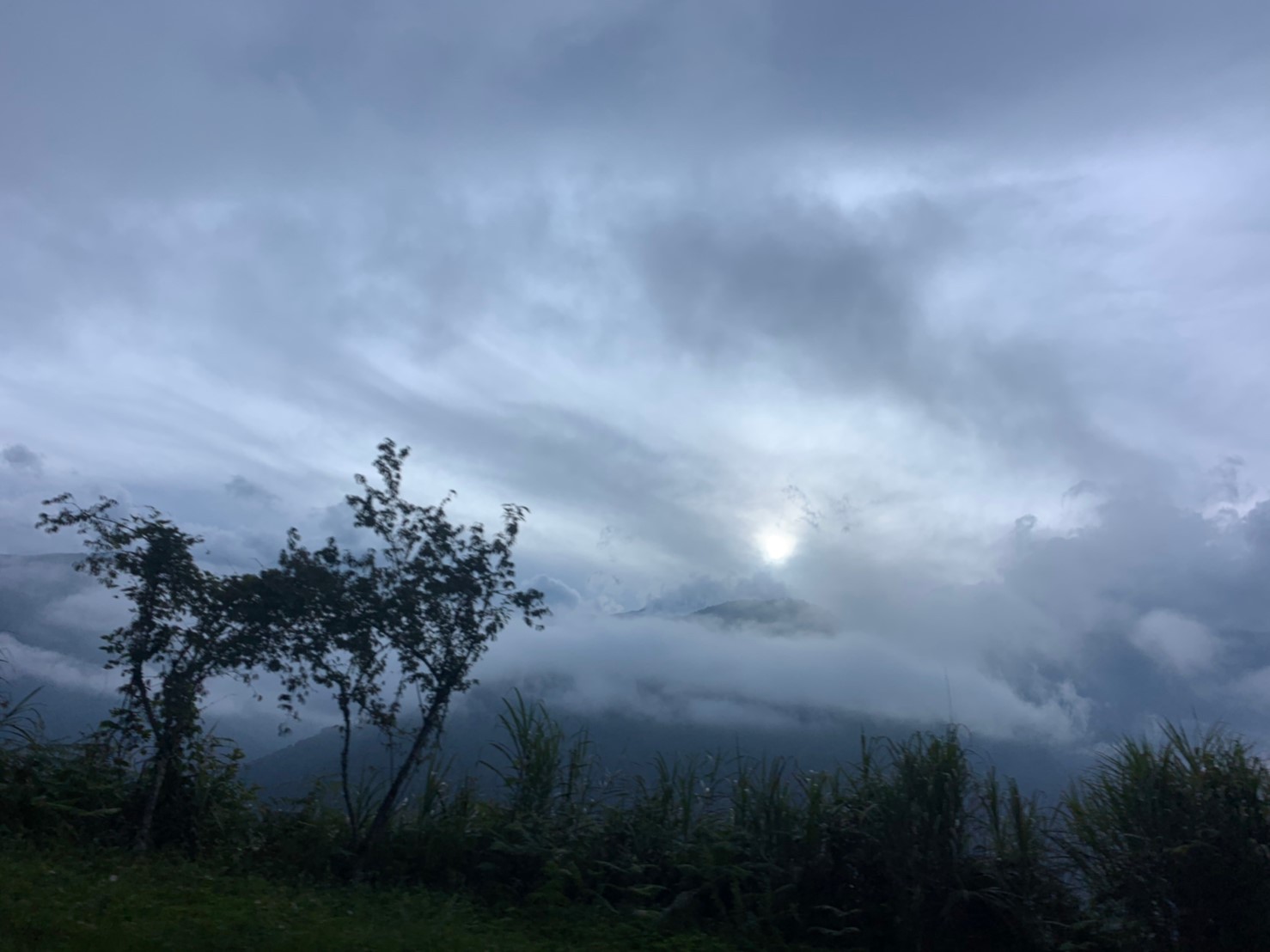 2019060708風景隨意拍_190611_0008