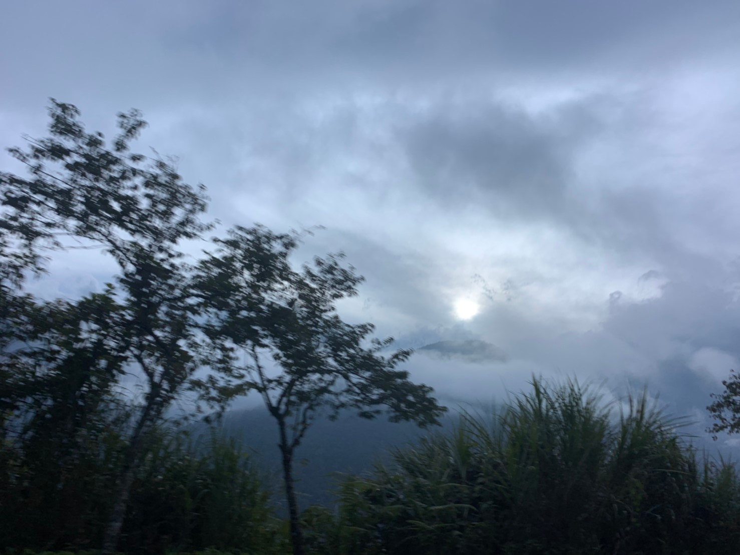 2019060708風景隨意拍_190611_0010