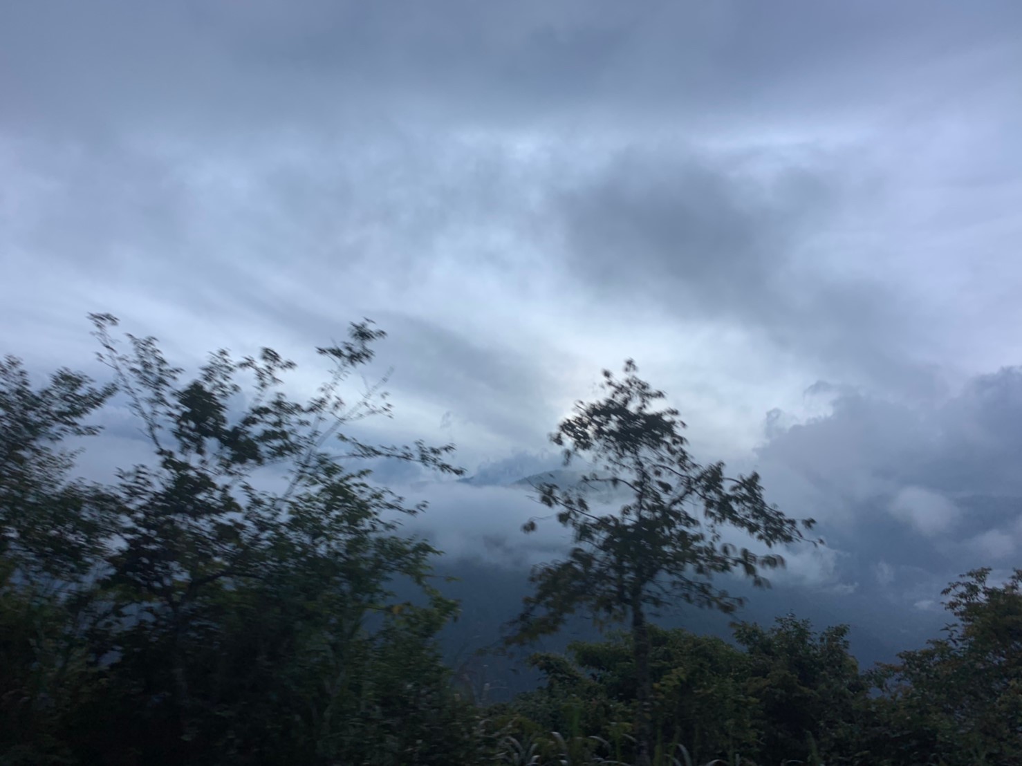 2019060708風景隨意拍_190611_0012