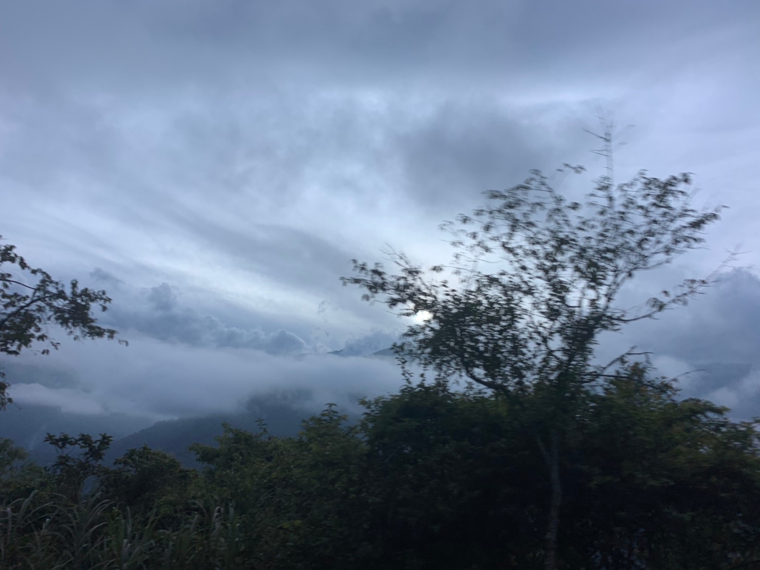 2019060708風景隨意拍_190611_0013