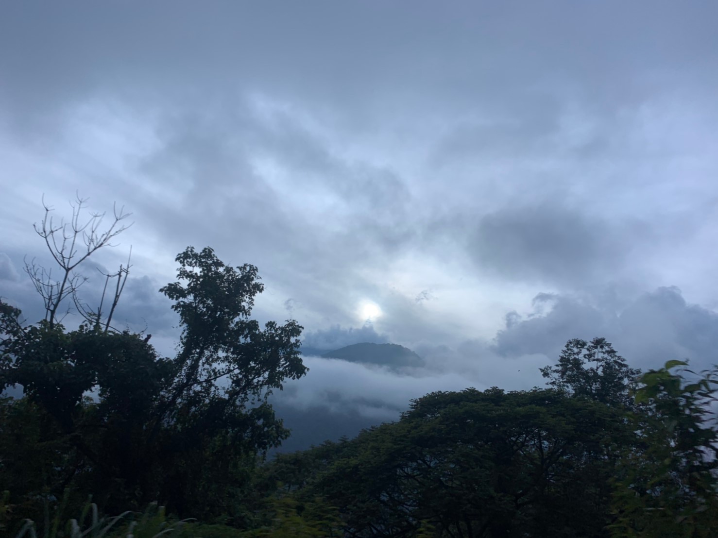 2019060708風景隨意拍_190611_0018