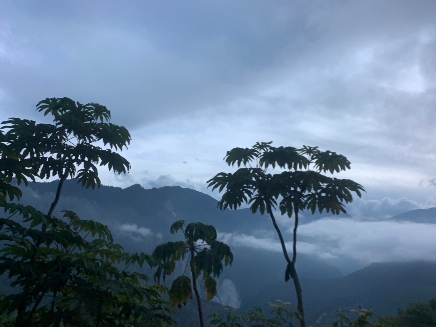 2019060708風景隨意拍_190611_0023