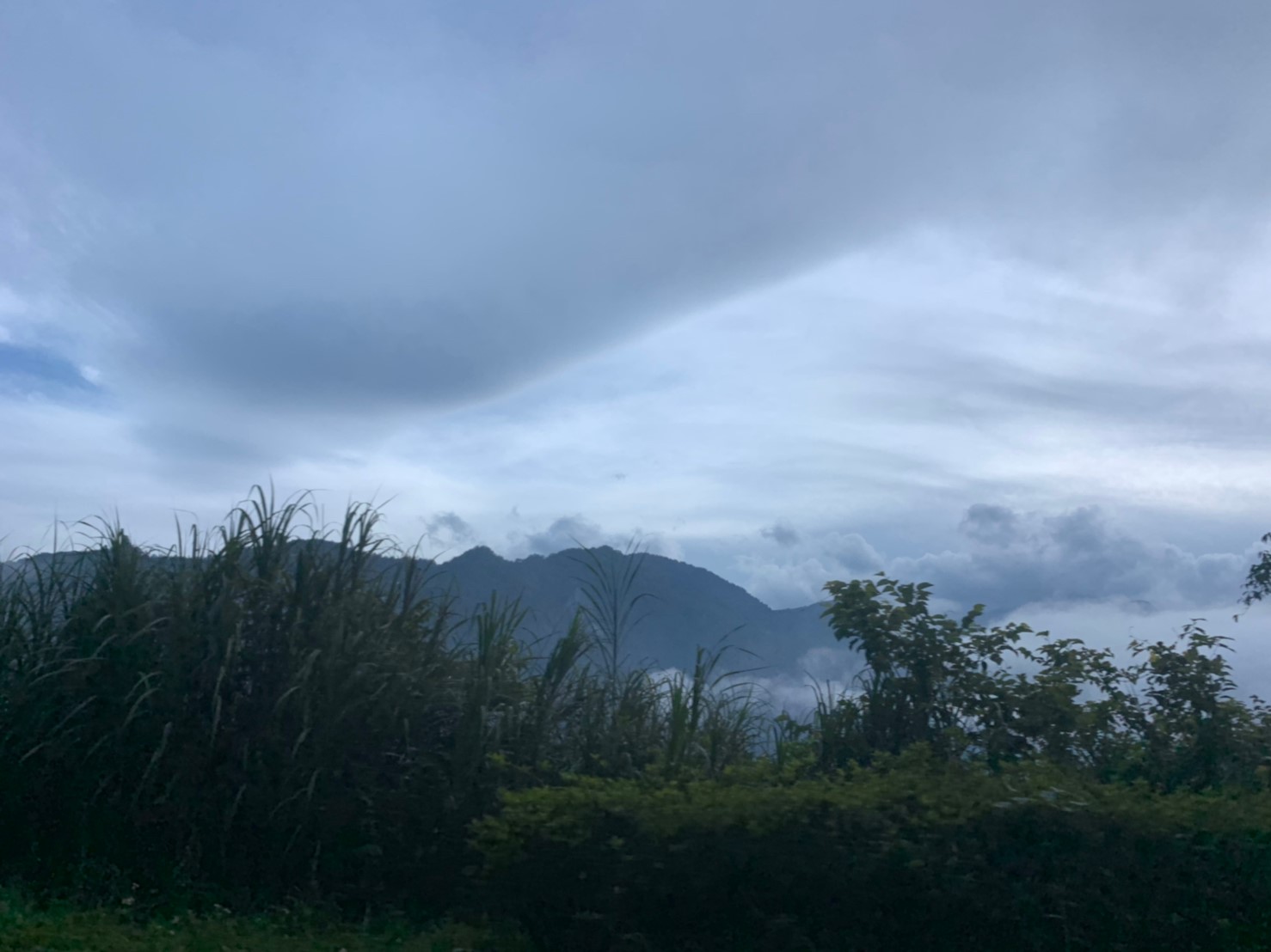 2019060708風景隨意拍_190611_0025