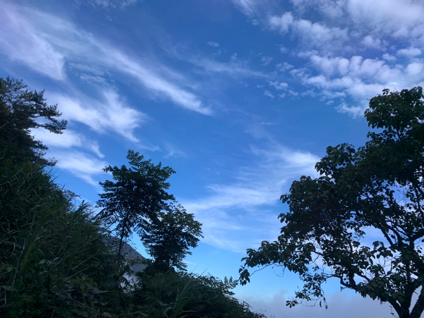 2019060708風景隨意拍_190611_0027
