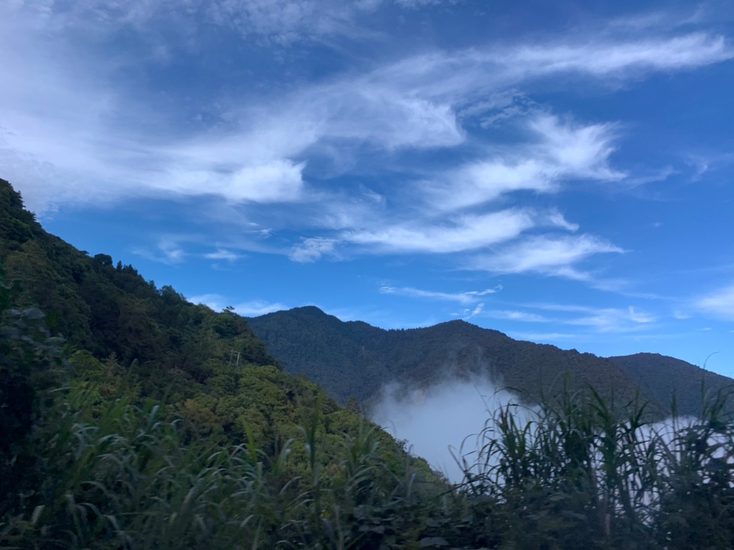2019060708風景隨意拍_190611_0028