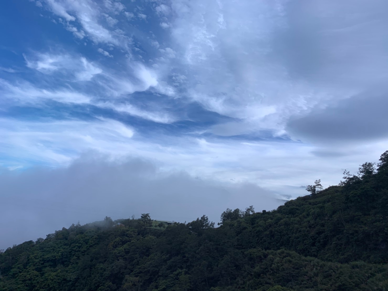 2019060708風景隨意拍_190611_0029