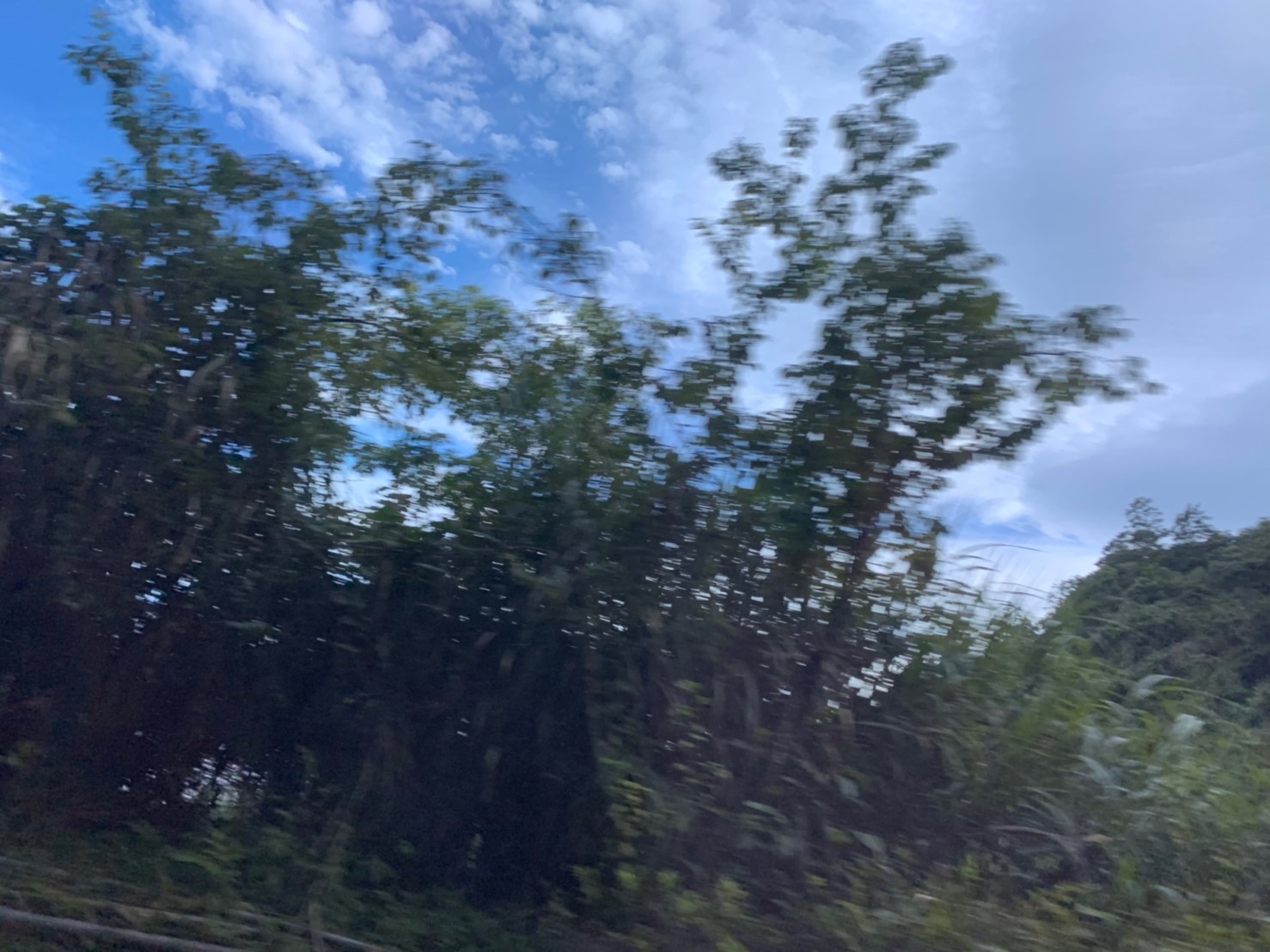 2019060708風景隨意拍_190611_0031