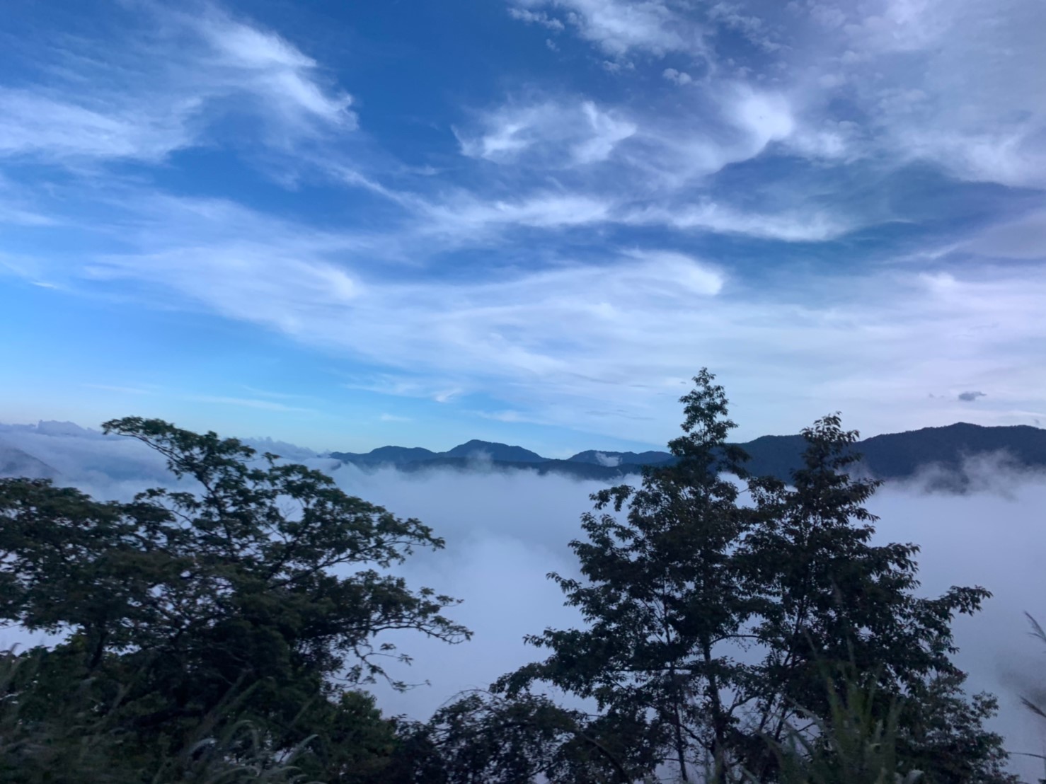 2019060708風景隨意拍_190611_0035