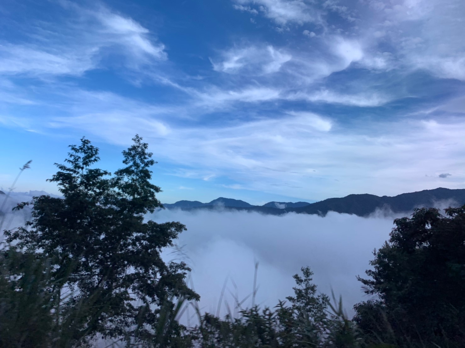 2019060708風景隨意拍_190611_0036