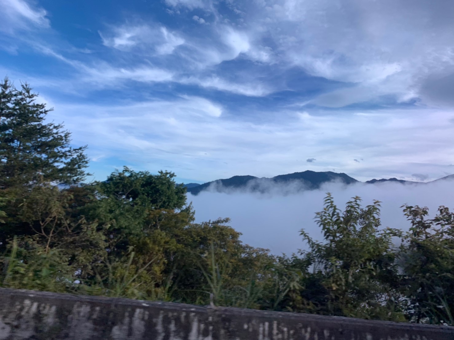 2019060708風景隨意拍_190611_0037