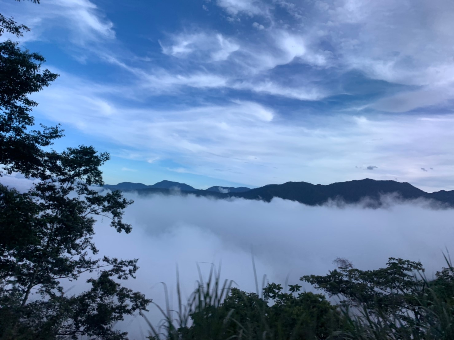 2019060708風景隨意拍_190611_0039