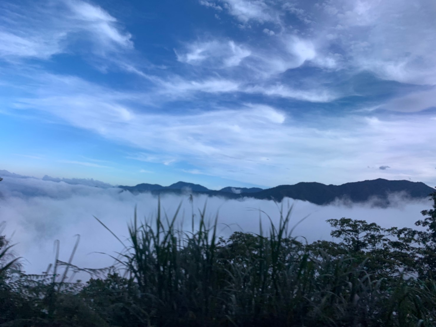 2019060708風景隨意拍_190611_0040