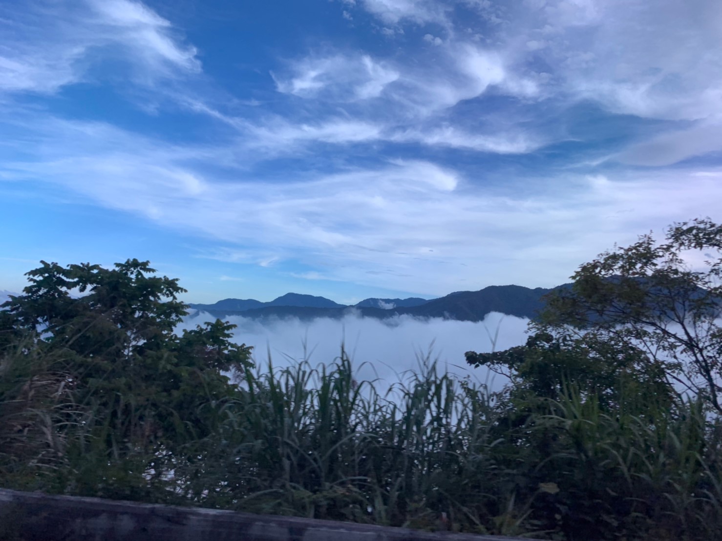 2019060708風景隨意拍_190611_0041