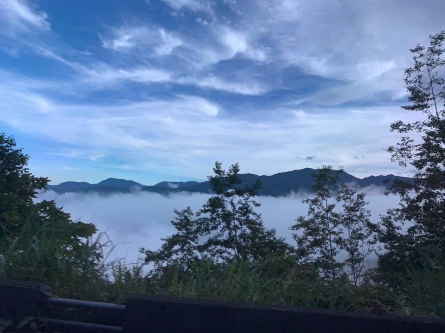 2019060708風景隨意拍_190611_0042
