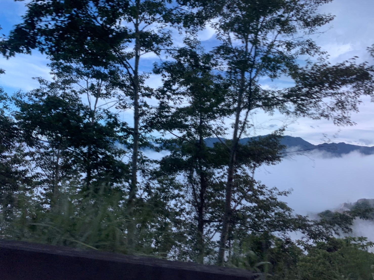 2019060708風景隨意拍_190611_0043
