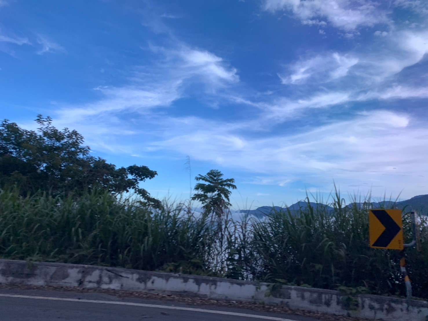 2019060708風景隨意拍_190611_0044