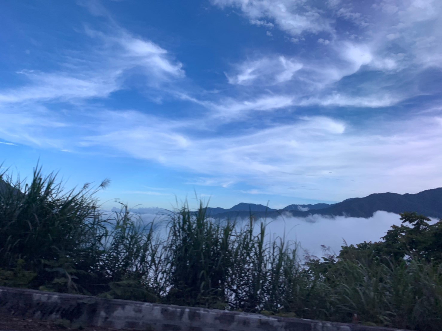 2019060708風景隨意拍_190611_0045