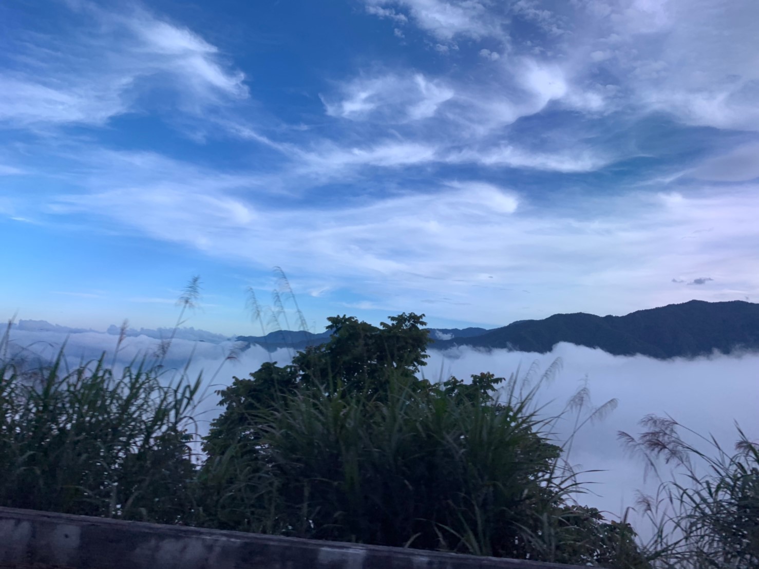 2019060708風景隨意拍_190611_0046