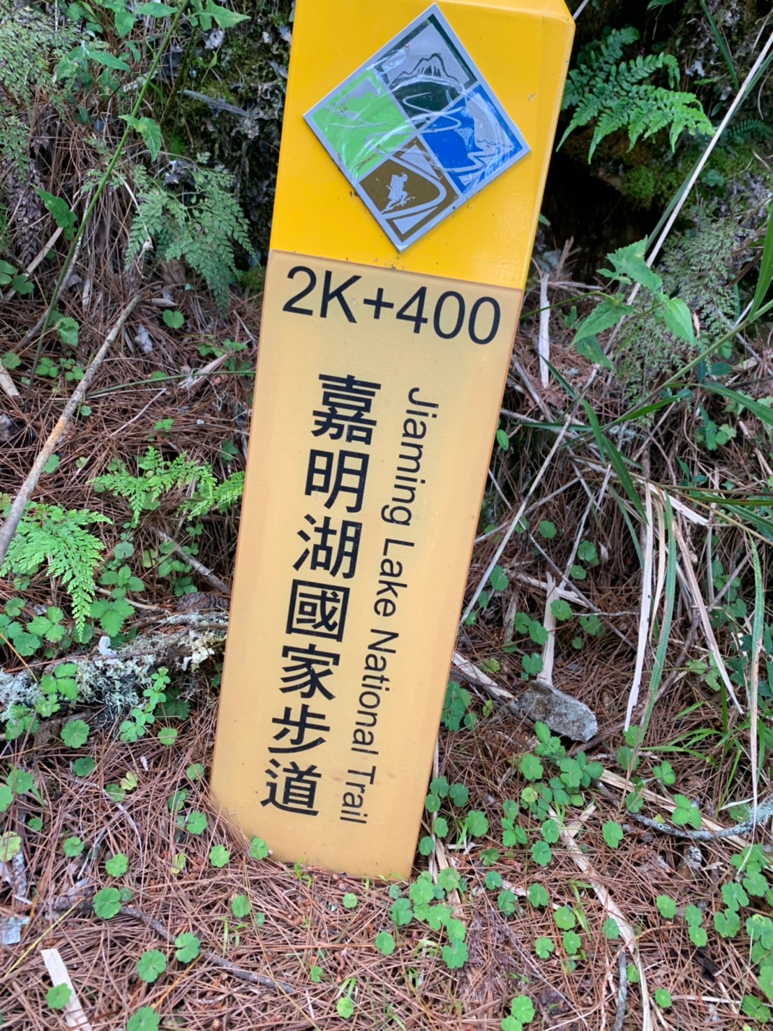 2019060708風景隨意拍_190611_0048