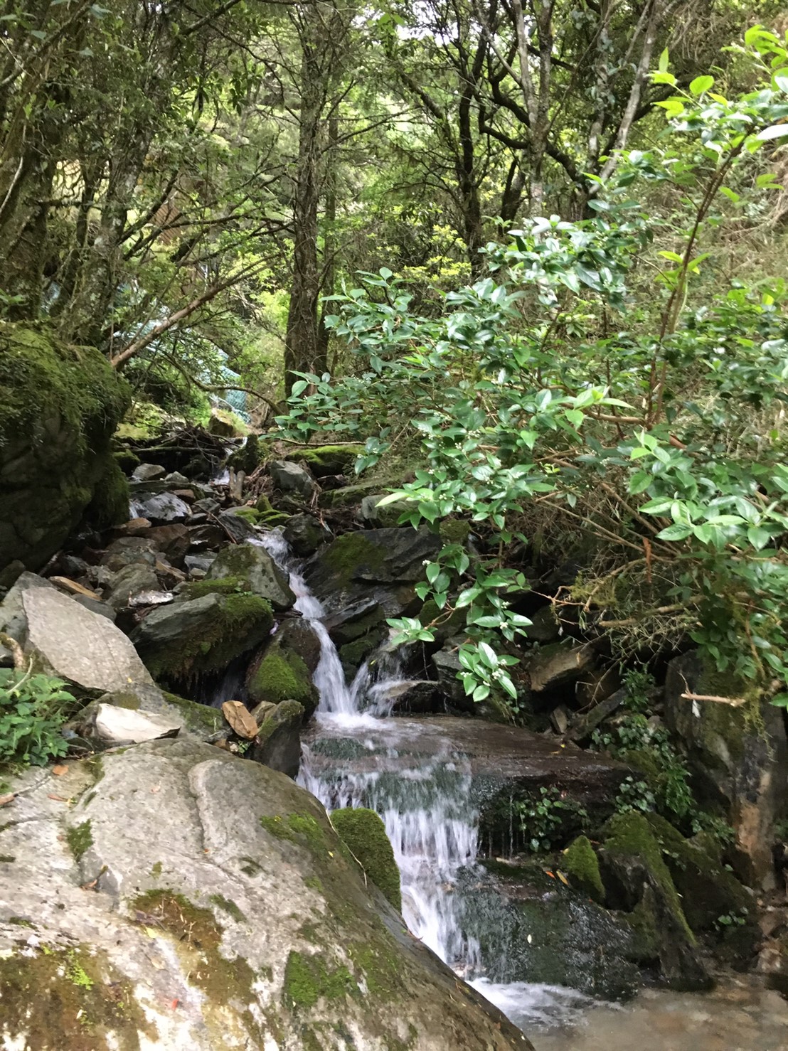 201906～08風景隨意拍_190611_0058
