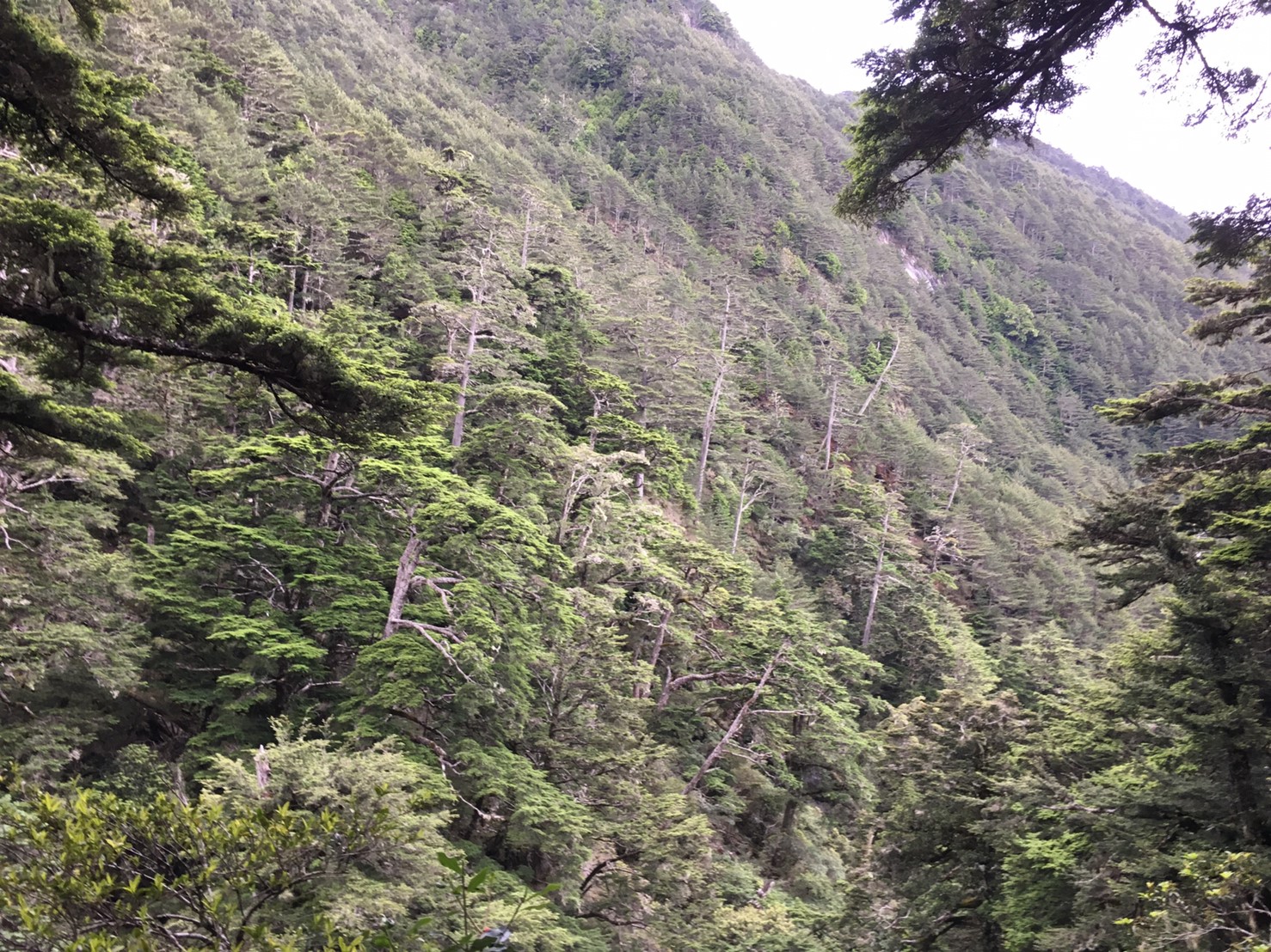 201906～08風景隨意拍_190611_0065