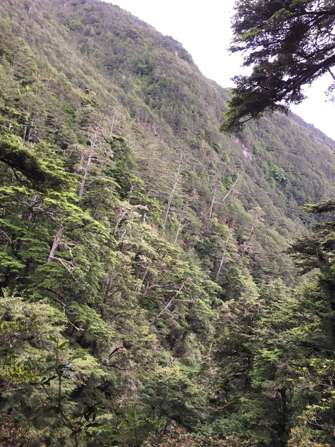 201906～08風景隨意拍_190611_0066