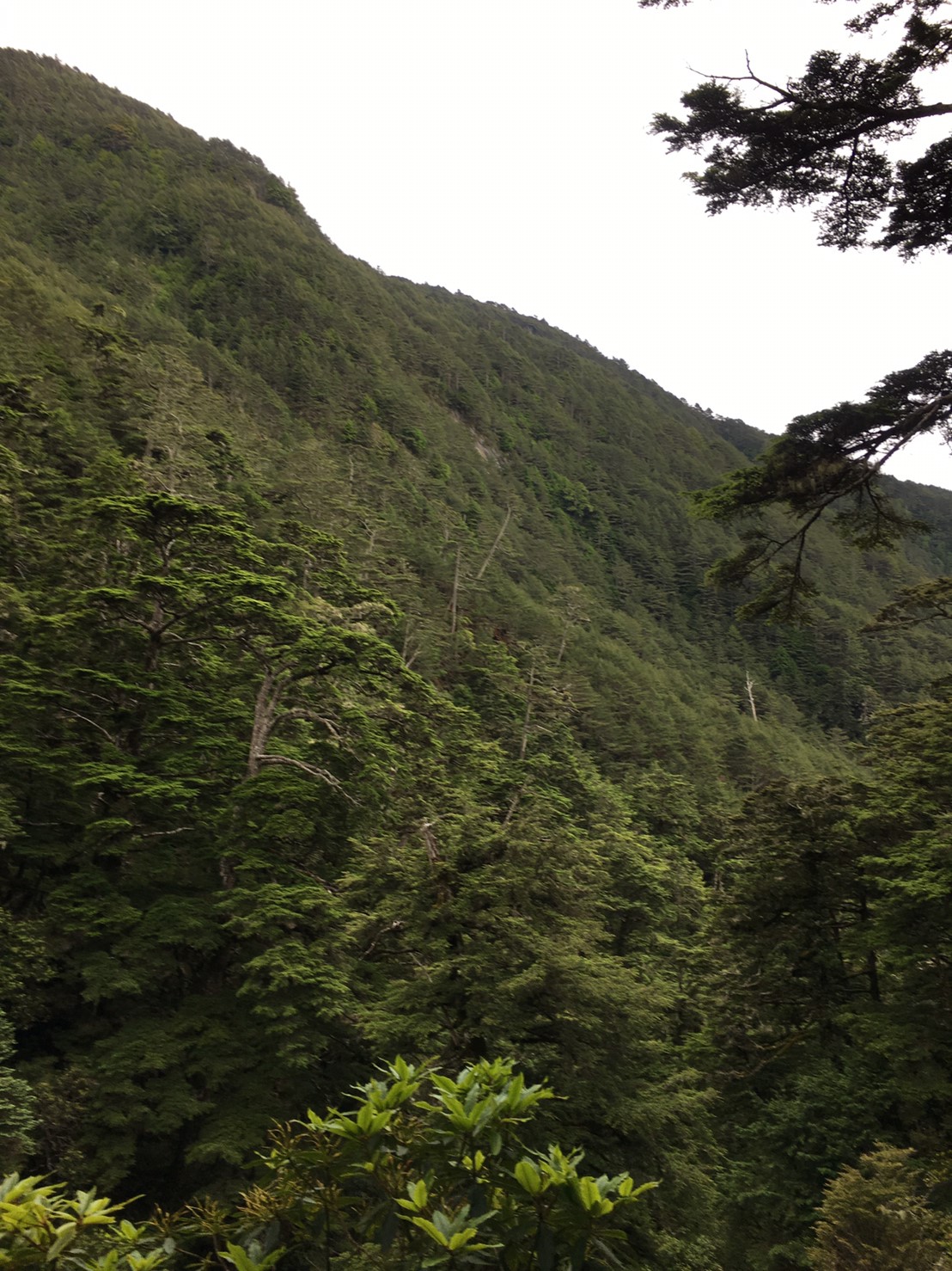 201906～08風景隨意拍_190611_0067