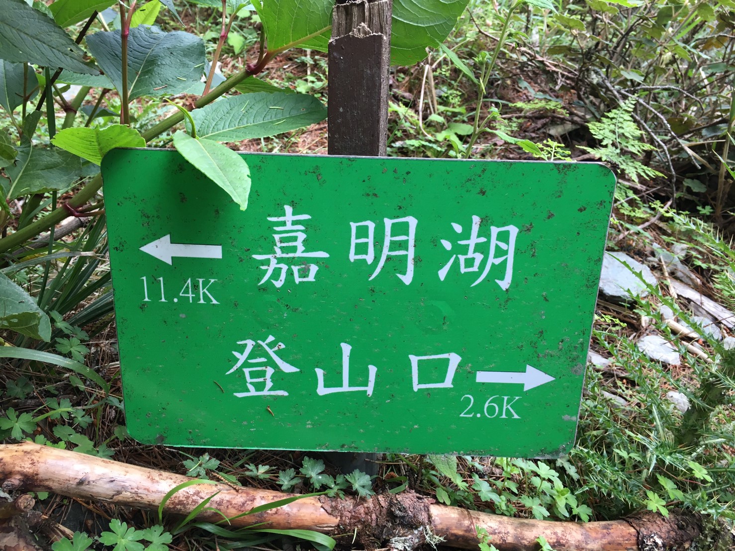 201906～08風景隨意拍_190611_0086