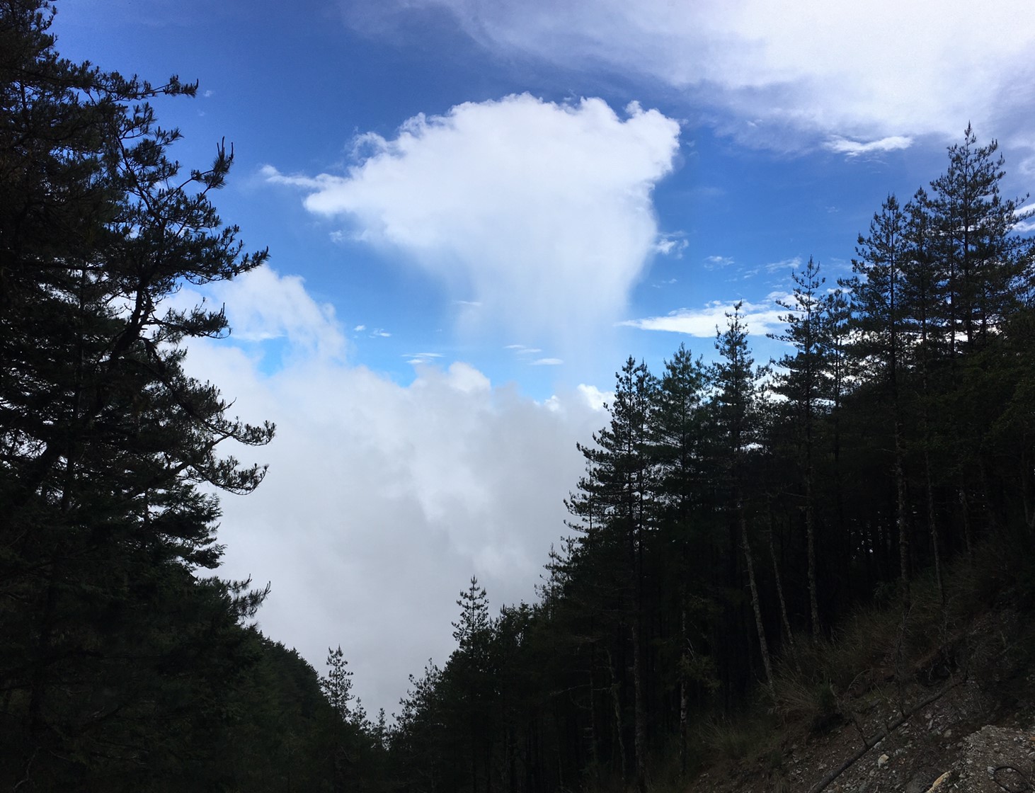 201906～08風景隨意拍_190611_0090