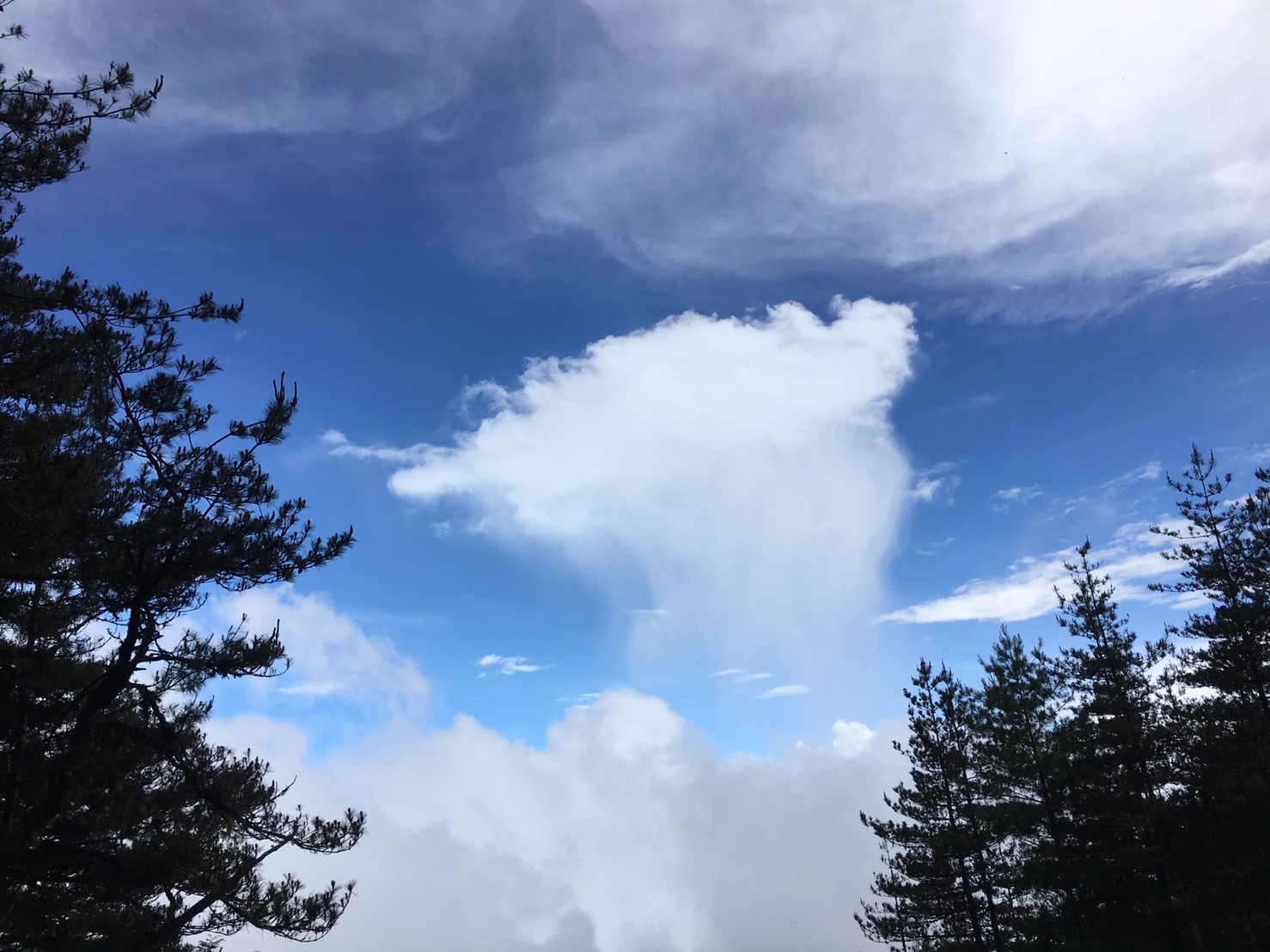 201906～08風景隨意拍_190611_0091