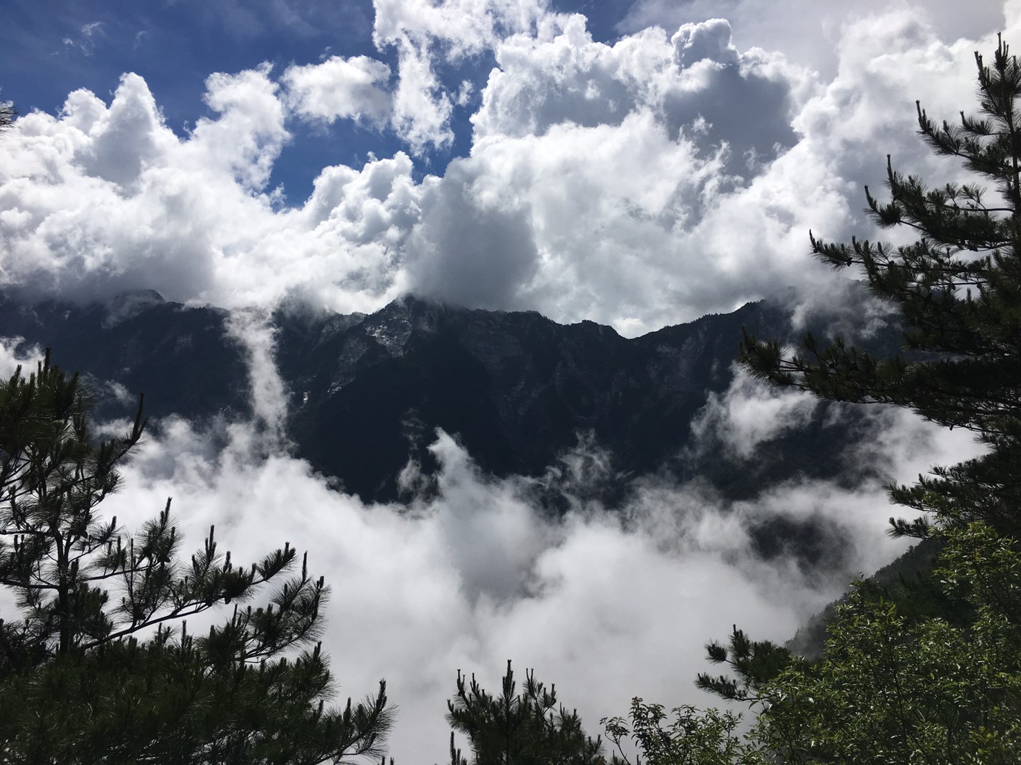 201906～08風景隨意拍_190611_0092