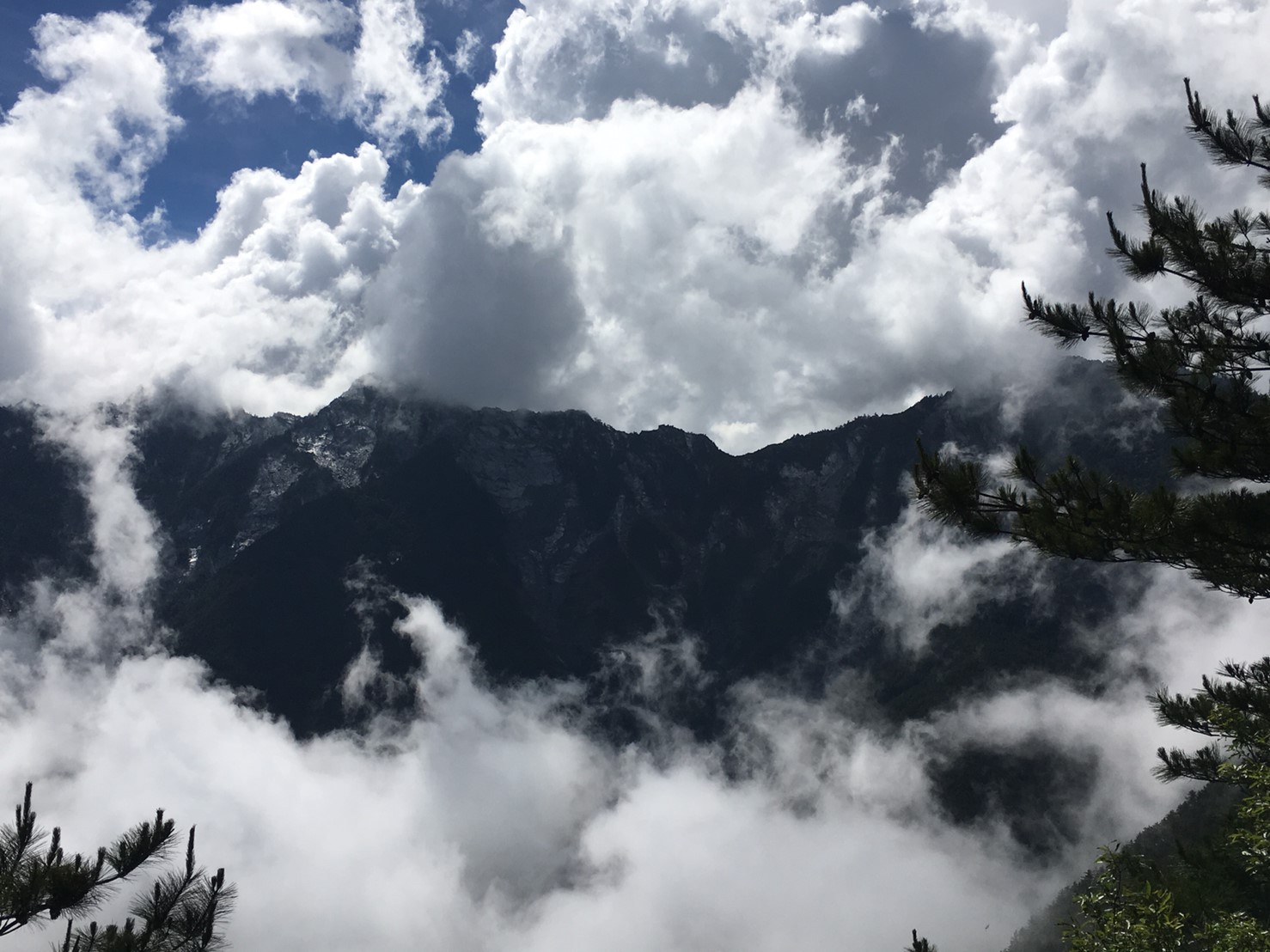 201906～08風景隨意拍_190611_0093