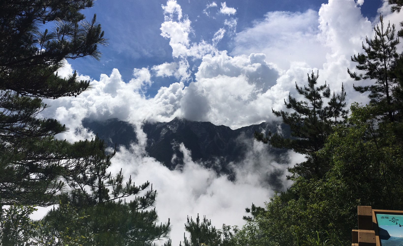 201906～08風景隨意拍_190611_0094