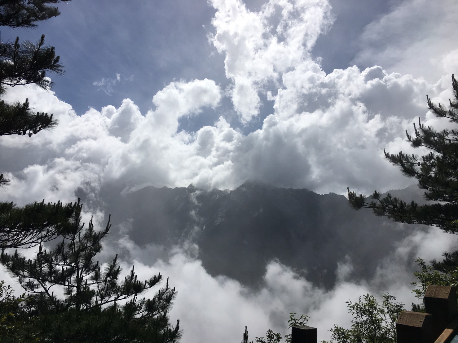 201906～08風景隨意拍_190611_0095