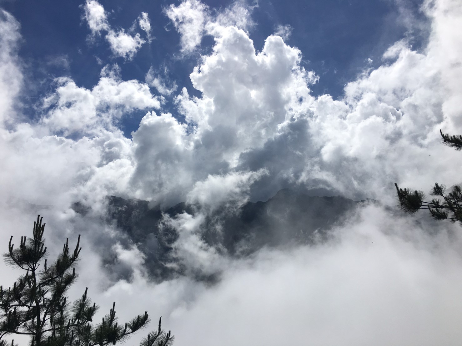201906～08風景隨意拍_190611_0098