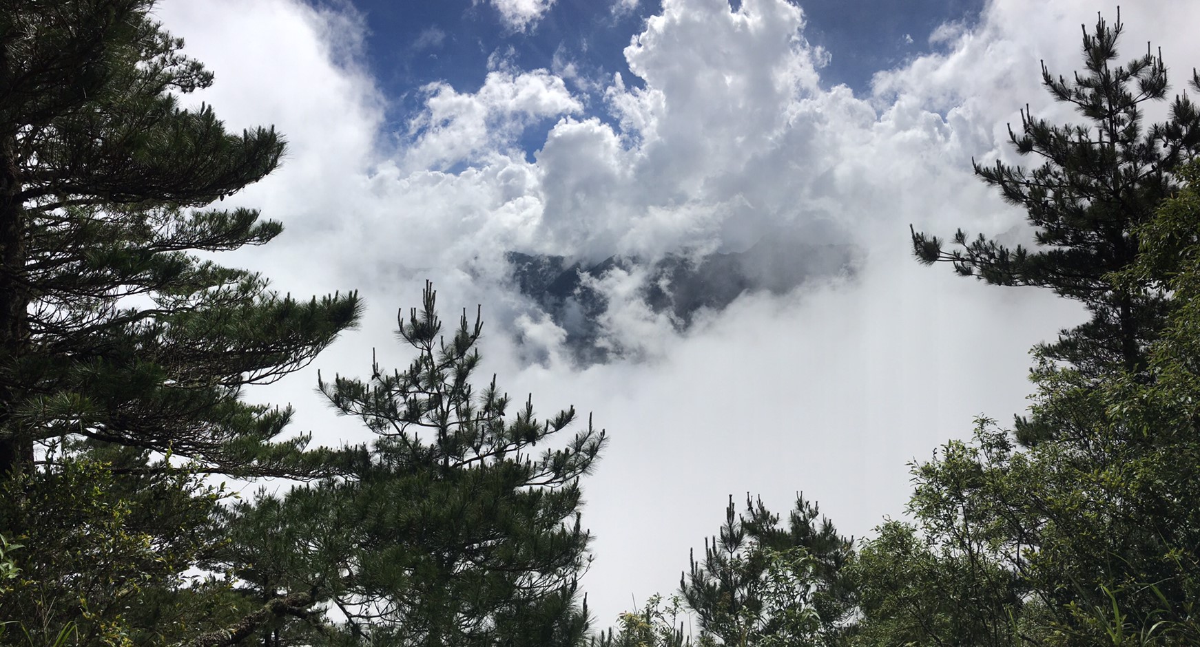 201906～08風景隨意拍_190611_0099