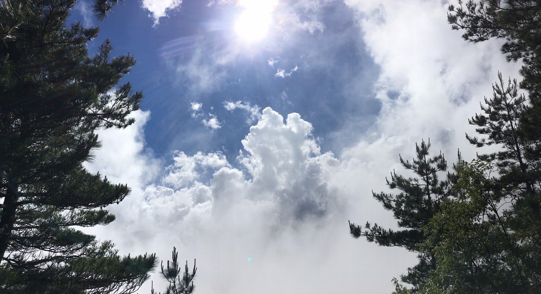 201906～08風景隨意拍_190611_0100