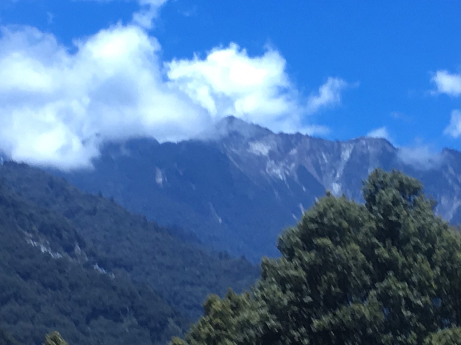 201906～08風景隨意拍_190612_0109
