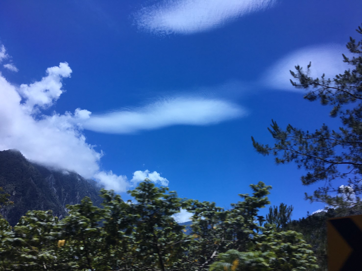 201906～08風景隨意拍_190612_0116