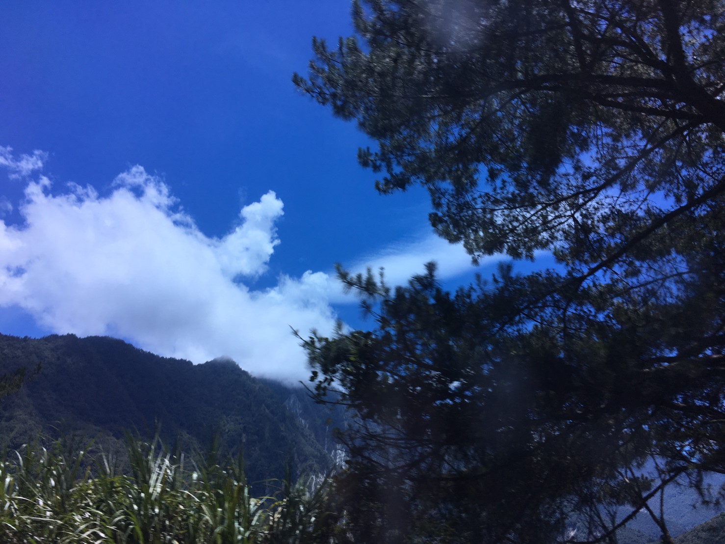 201906～08風景隨意拍_190612_0119