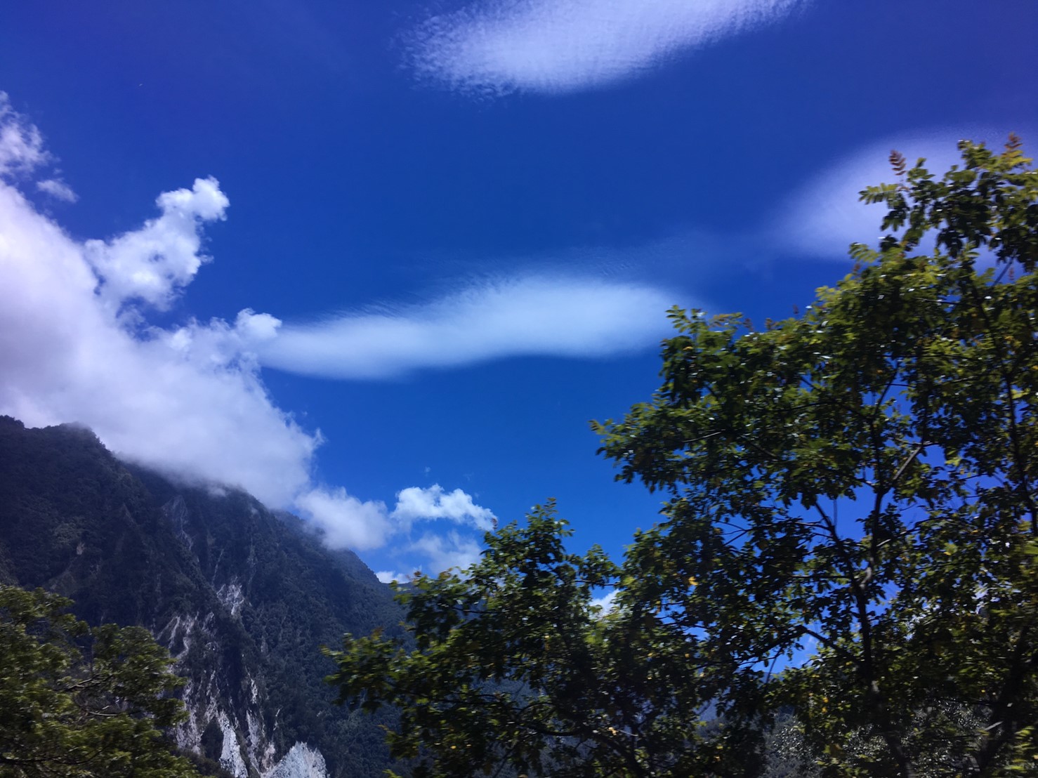 201906～08風景隨意拍_190612_0120