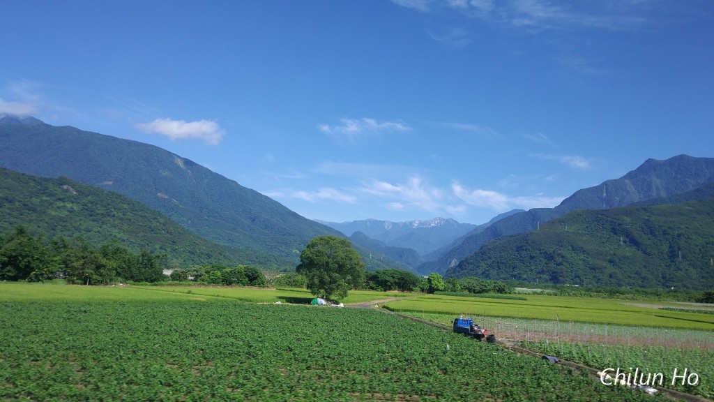 干城