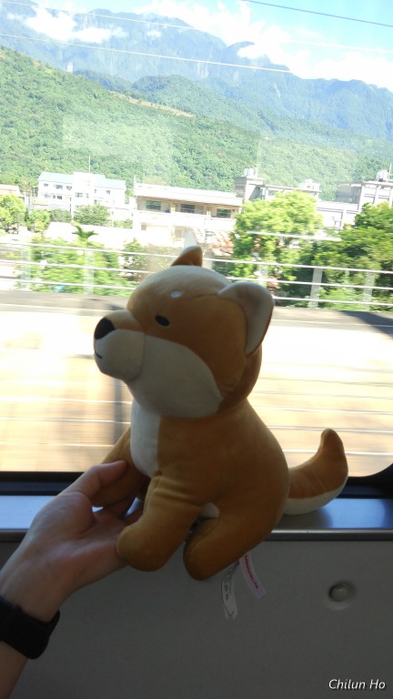 1之1號