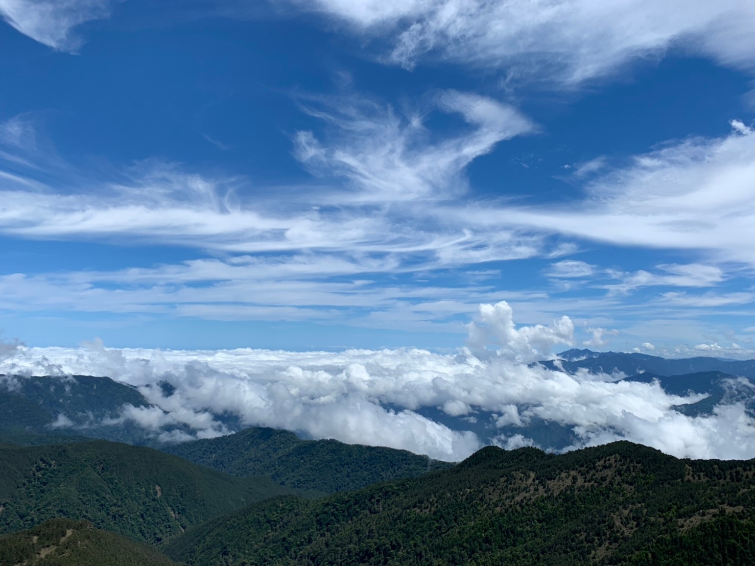 2019060708風景隨意拍_190611_0175