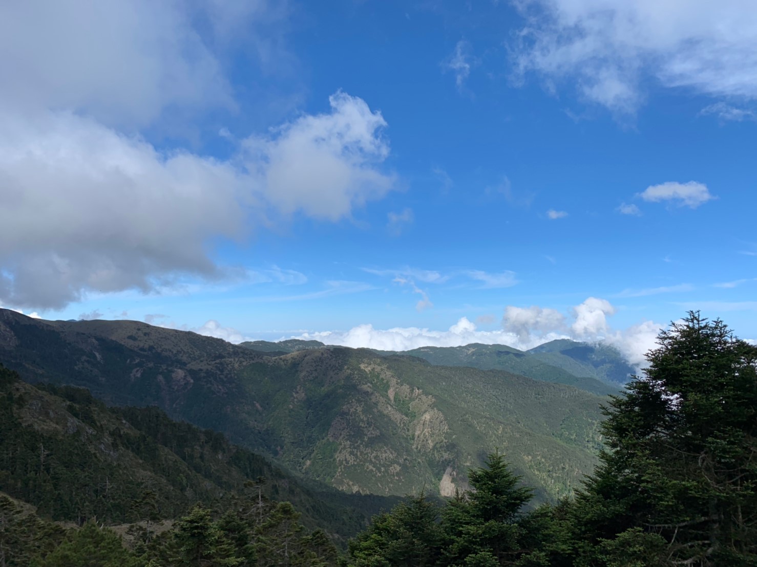 2019060708風景隨意拍_190611_0176