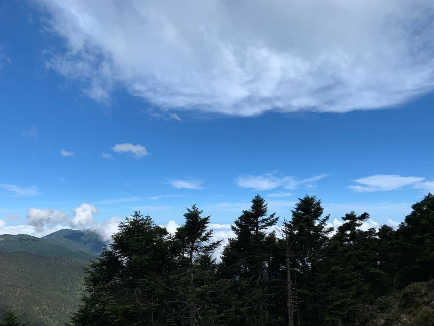 2019060708風景隨意拍_190611_0177
