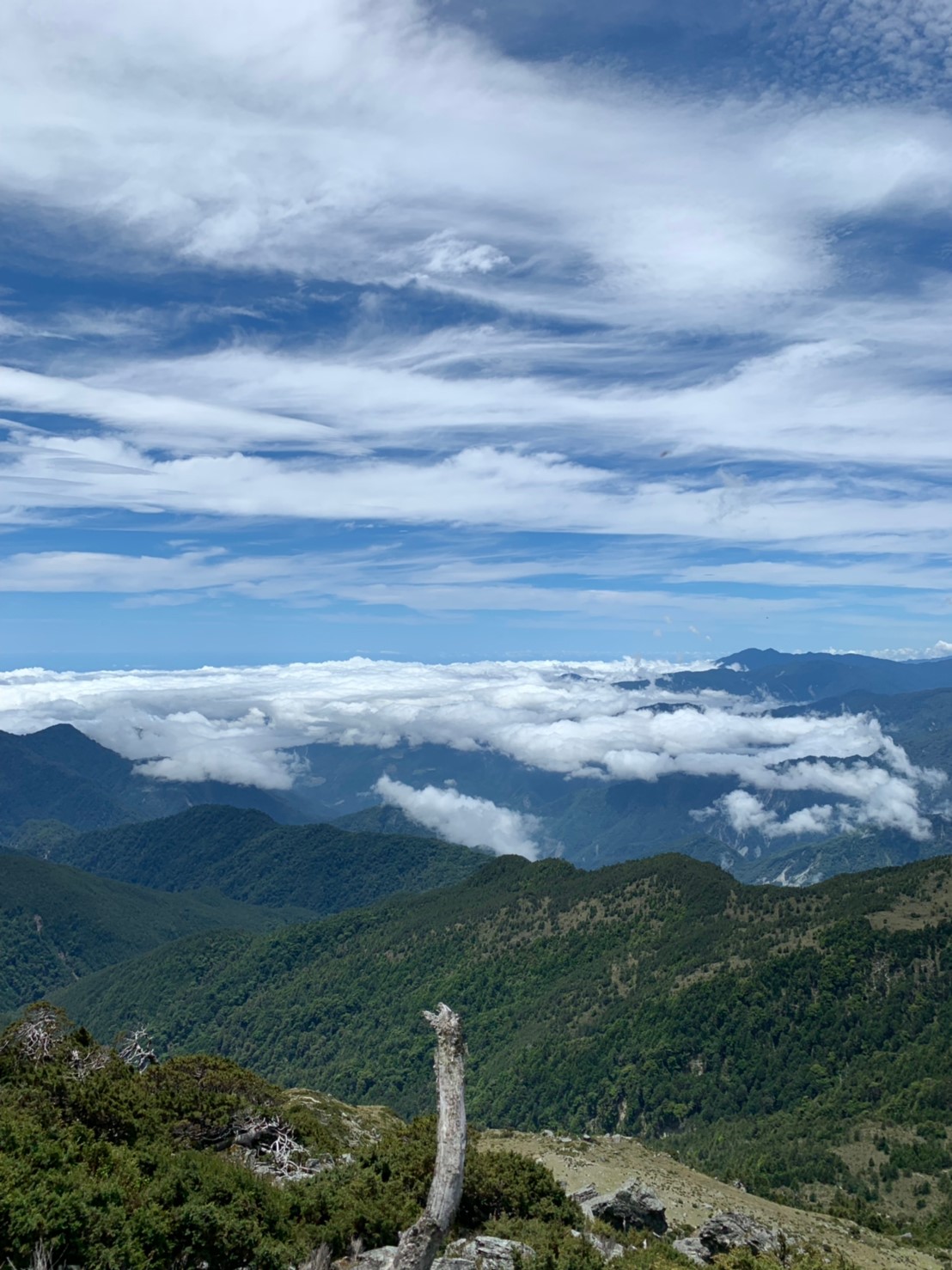 2019060708風景隨意拍_190611_0180