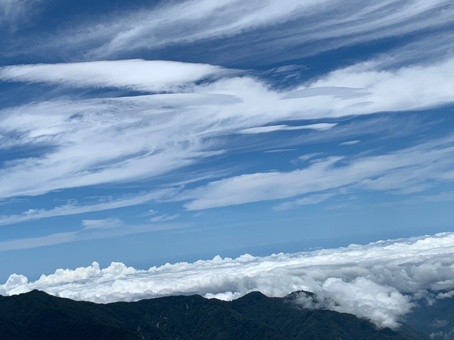 2019060708風景隨意拍_190611_0193